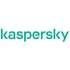 Лаборатория Касперского Kaspersky Ask the Analyst Russian Edition Base Certificate