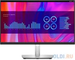 DELL Монитор 23.8" P2423DE