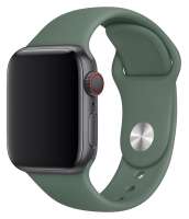 Everstone ES-AWBS-108 Apple Watch 38/40мм силиконовый Green